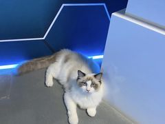 -零纪元VR体验馆·桌游(黄浦店)