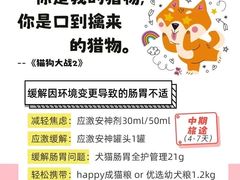 -福懋动物医院·犬猫全科·外科·重症科(杏林分院)
