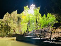 -怀托摩萤火虫洞