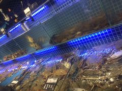 水产区-必点海鲜·鲅鱼水饺(鞍山西道店)