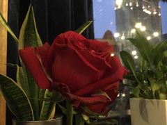 -IL Forno 意坊·意大利餐厅(温州万象城店)