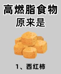-Fundi张玉珊修身堂·indiba·BTL科技瘦身