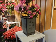 -迎泽公园