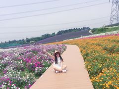 -紫颐香薰山谷景区