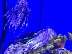 -多彩贵州城极地海洋世界