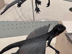 -辽宁古生物博物馆