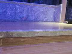 -大自然会所(泉秀店)