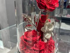 -ROSEONLY诺誓(国际广场购物中心店)