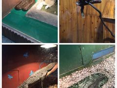 -上海大自然野生昆虫馆