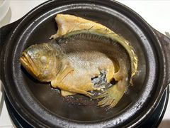 -菉雅苑·湛江菜(前海卓越INTOWN店)