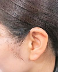 -花师傅