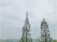 -滕头生态酒店(奉化店)