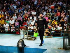 -洛阳龙门海洋馆