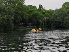 -西湖天地