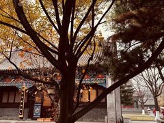 -护国法轮寺