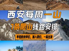 -朱雀国家森林公园