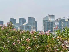 -石排湾郊野公园