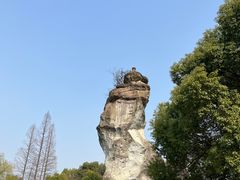-柯岩风景区