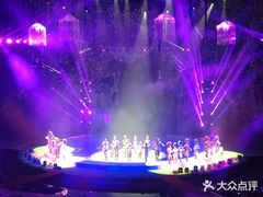 -灵玲国际马戏城