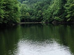 -青龙山国家森林公园