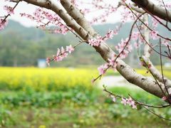 -呈坎景区