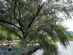-西海子公园