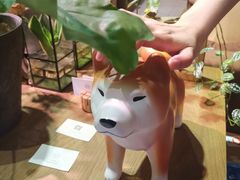 -柴务处·柴犬主题狗咖