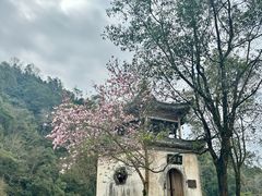 -婺源风景区