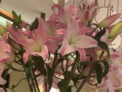 -西湖春天•老字号杭州菜(百汇店)