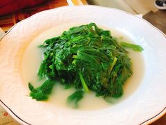 鱼汤煮豆苗-翠华餐厅(德辅道中店)