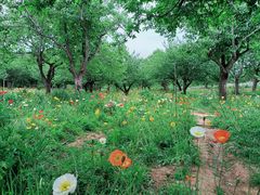 -名花谷生态庄园