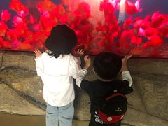 -泉州海丝野生动物世界