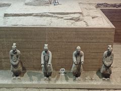 -秦始皇帝陵博物院-丽山园
