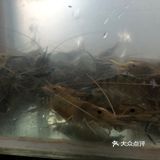 老板好像说是今天没做还是卖完了