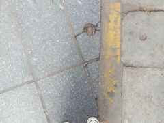 -UPUPKAFE  立咖啡(浏城桥店)