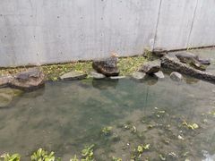 -中国湿地博物馆