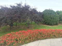 -黑石礁公园