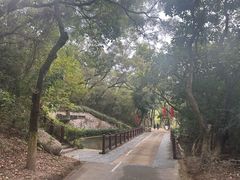 -燕晗山郊野公园