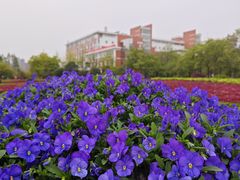 -杭州电子科技大学(下沙校区)