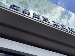 -红星美凯龙(上海沪南店)