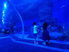 -成都浩海立方海洋公园