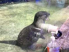 -重庆欢乐海底世界