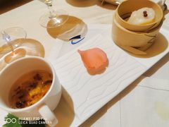 -诺莱仕游艇会