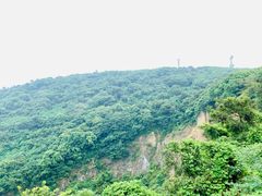 -平湖九龙山旅游度假区