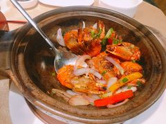 -翅爷家煲仔翅