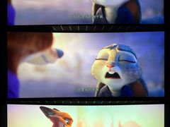 -奥斯卡升龙国际影城(RealD Cinema)