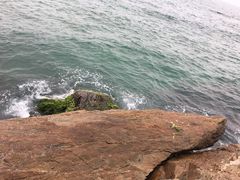 -盐洲岛