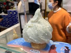 -野人先生现做冰淇淋(西安赛格店)