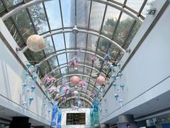 -Ice Monster冰馆·CNN评选全球十大甜品(国贸商城店)