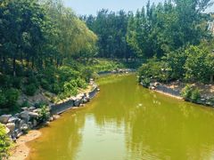 -大兴滨河森林公园